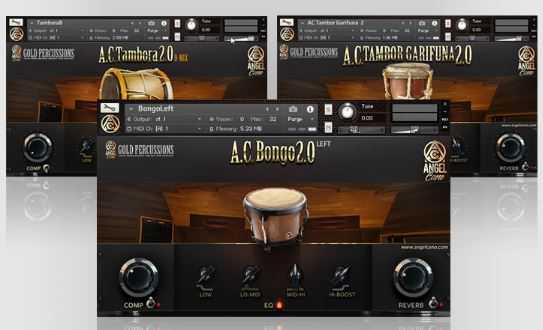 Angel Cano GOLD Percussions 黄金小打音色库