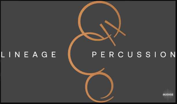 ProjectSAM Lineage Percussion Pro v1.3 管弦打击乐