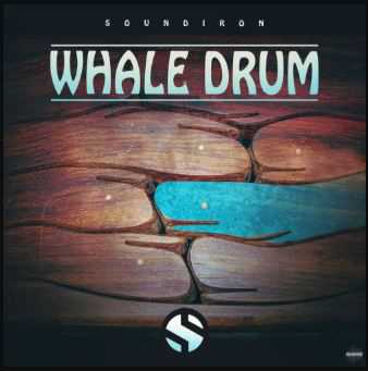 Soundiron Whale Drum v2.0 KONTAKT 旋律音高打击乐音色库