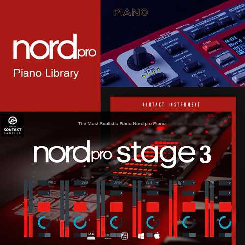 Júnior Porciúncula Nord Stage 3 Ultimate Stage Pianos 诺德舞台钢琴