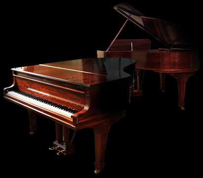 Imperfect Samples Steinway 胡桃木斯坦威钢琴 ( 16GB )