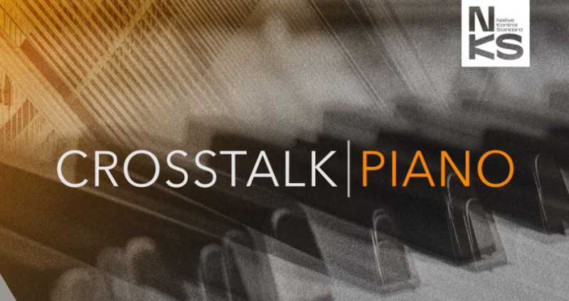 Native Instruments Crosstalk Piano 次世代钢琴