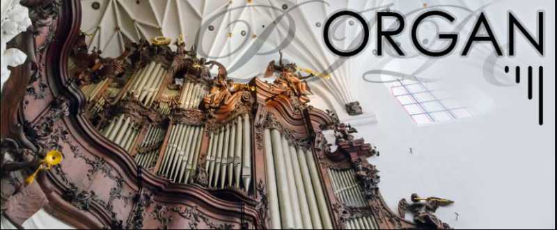 ARIA Sounds Pipe Organ KONTAKT 教堂管风琴 ( 938MB )