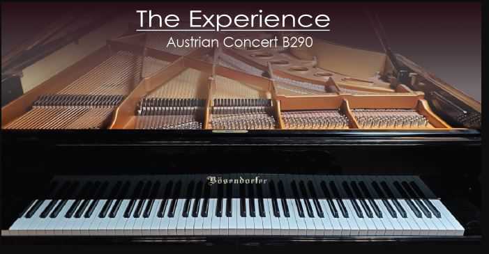 Dore Mark The Experience Austrian Concert B290 Lite v1.0 FREE 贝森朵夫B290钢琴
