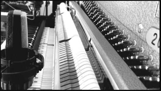 Bechstein C118 贝希斯坦立式钢琴