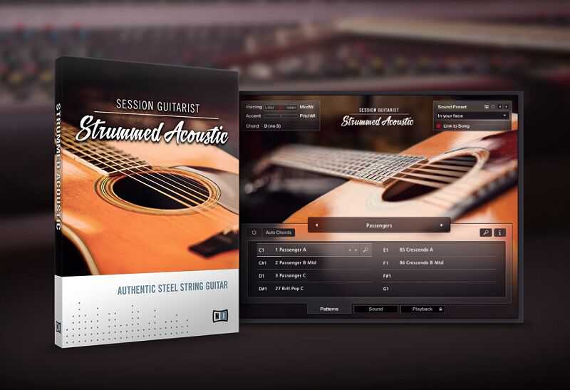 Native Instruments Session Guitarist - Strummed Acoustic 1 扫弦木吉他 1