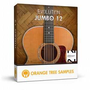 Orange Tree Samples Evolution Jumbo 12 十二弦木吉他 ( 5.6GB )