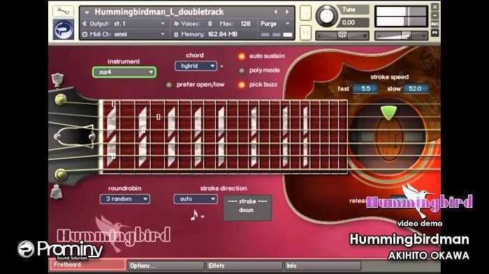 Prominy Hummingbird 吉普森 蜂鸟木吉他 ( 41GB )