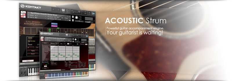 Ilya Efimov Acoustic Guitar Strum