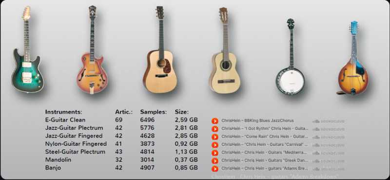 Chris Hein Guitars DE 克里斯 海恩吉他套装 ( 9.8GB )