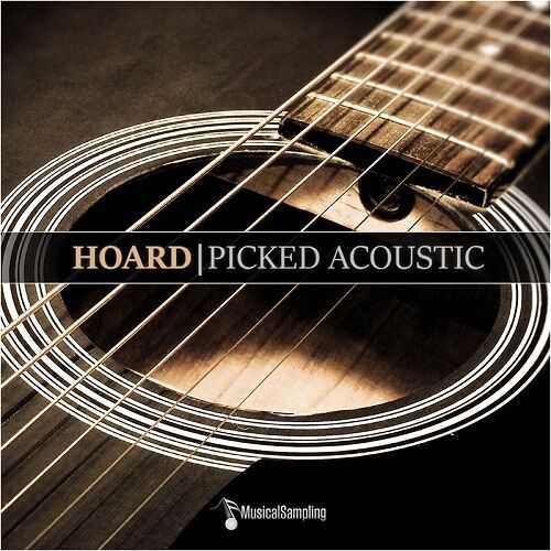 Musical Sampling Hoard Picked Acoustic 钢弦木吉他 ( 2.9GB )