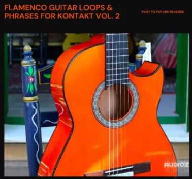 PastToFutureReverbs Flamenco Guitar Loops And Phrases For KONTAKT 弗拉门戈吉他乐句 ( 70MB )