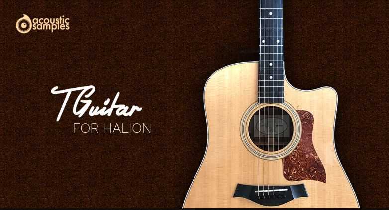 Steinberg Acoustic Samples TGuitar 泰勒木吉他