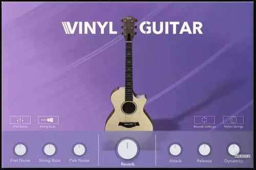 Echo Sound Works Vinyl Guitar 黑胶吉他