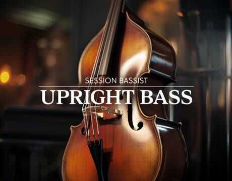 Native Instruments Session Bassist Upright Bass 提琴贝斯 ( 6.2GB )
