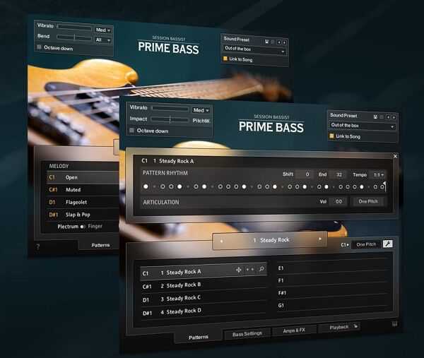 Native Instruments Session Bassist Prime Bass ( 8.7GB )