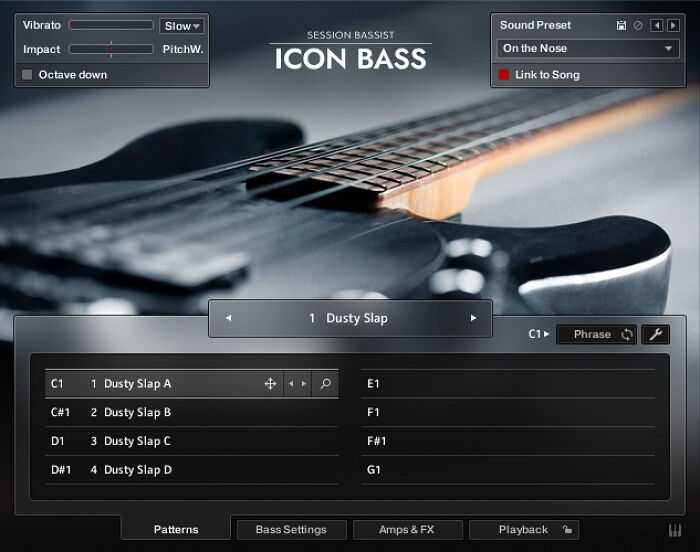 Native Instruments Session Bassist Icon Bass ( 4.7GB )