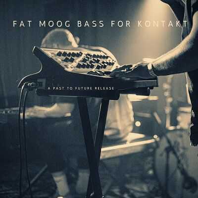 Past to Future Reverbs Fat Moog Bass 合成贝斯 ( 48MB )