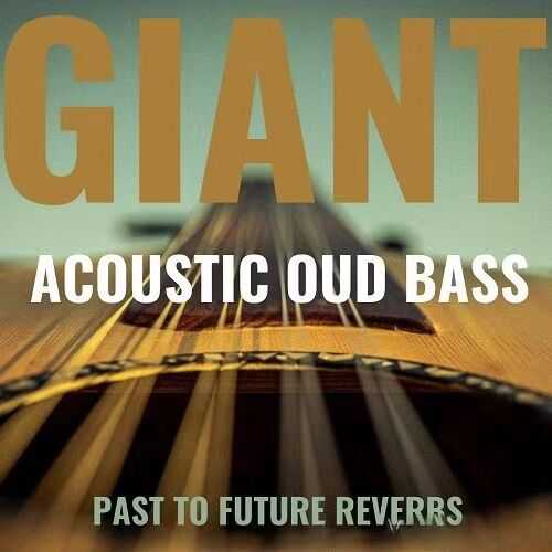 Past to Future Reverbs Giant Acoustic Round-Back Fretless Bass无品贝斯 ( 1.1GB )