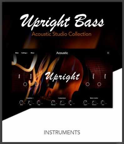 Muze Upright Bass KONTAKT 提琴贝斯 ( 2.8GB )