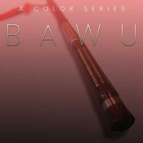 Evolution Series World Colors Bawu 中国巴乌 ( 513MB )