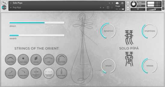 IX Sounds Strings of the Orient Solo Pipa 琵琶独奏 ( 349MB )