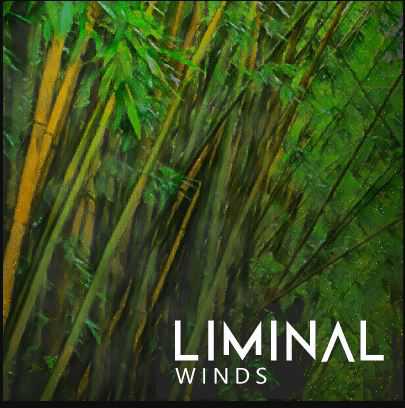 Crocus Soundware LIMINAL Winds KONTAKT 长笛音色