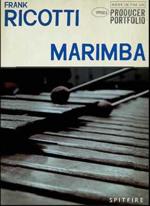 Spitfire Audio Ricotti Marimba KONTAKT 喷火马林巴琴\木琴