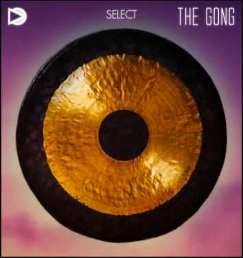 SampleScience The Gong luo 锣\铜锣 \中国锣