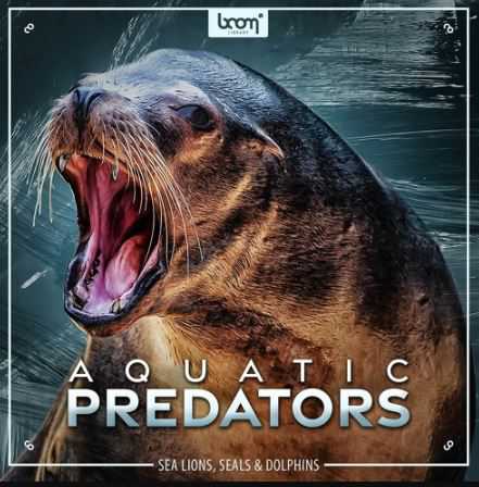 Boom Library Aquatic Predators 海狮、海豹、海象和海豚的音效库