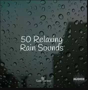 Pro Sound Effects Library 50 Soothing Winter Rain Sounds FLAC 冬季雨声音效库