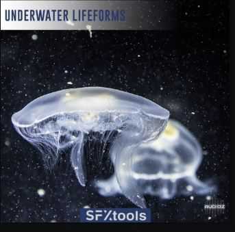SFXtools Underwater Lifeforms WAV 水下角色和水生环境音效