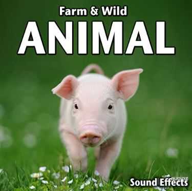 Sound Ideas Farm & Wild Animal Sound Effects FLAC 野生动物音效库