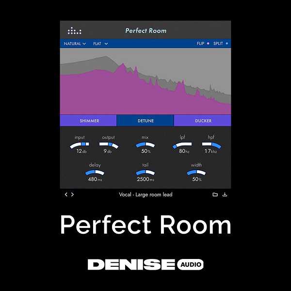 Denise Perfect Room 房间回响延迟