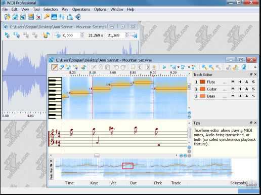 WIDI Recognition System Professional v4.5.0 Build 677 音频转MIDI