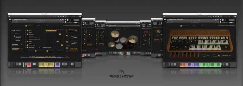 Insanity Samples Screamin' Blues Collection 布鲁斯乐器包