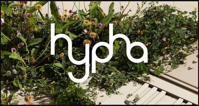 Native Instruments HYPHA 1.1.0 原声\电子混合乐器