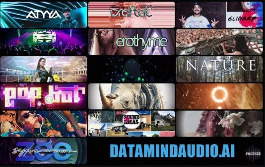 DataMind Audio Combobulator 51 Models Pack 音色模型包
