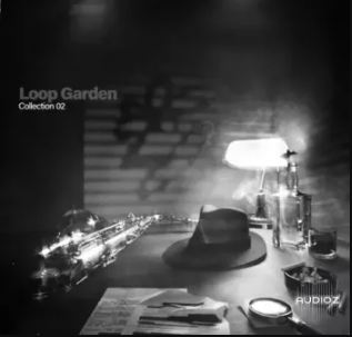 Loop Garden Collection 02 WAV KONTAKT 综合音源库