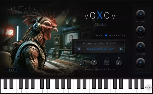 SlapAsSound VoXov Vol.7 Vocal Instruments 电音人声音源