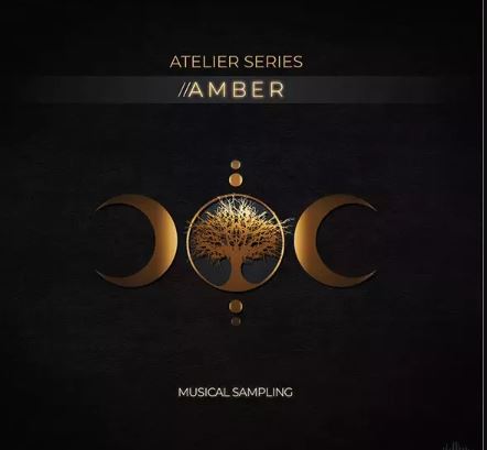 Musical Sampling Atelier Series Amber KONTAKT 女声合唱
