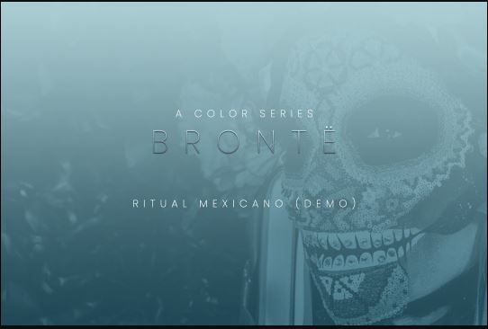 Evolution Series Vocal Colors Bronte KONTAKT 优美色彩女声