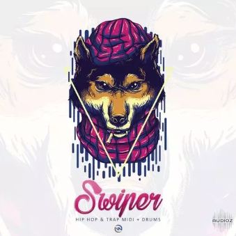 Dynasty Loops Swiper WAV 嘻哈音乐采样包 素材loop