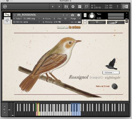 Loops De La Creme Songbird Virtuoso KONTAKT 鸟叫.夜莺红雀红尾鸲虚拟鸣禽音源