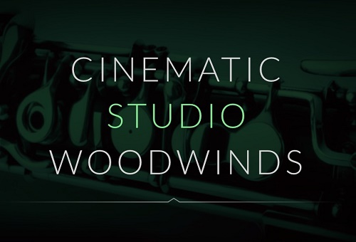 Cinematic Studio Woodwinds 电影工作室木管 ( 90GB )
