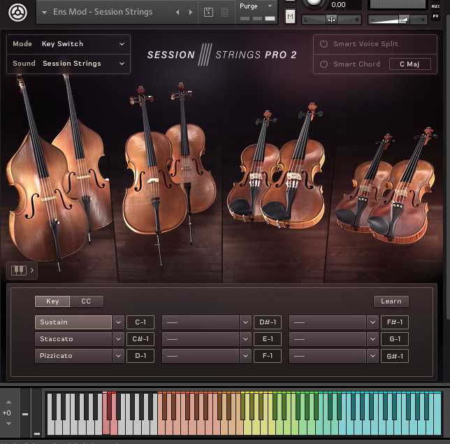 Native Instruments Session Strings Pro 2 录音室流行弦乐