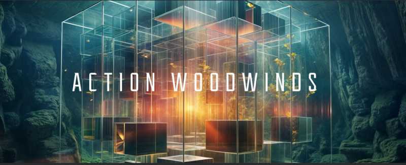 Native Instruments Action Woodwinds Library 电影木管 ( 20.5GB )