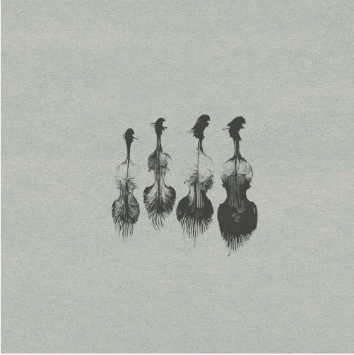 Wrongtools Feathersome Strings 弦乐四重奏