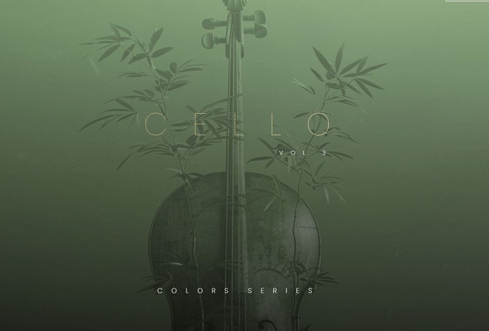 Evolution Series Bowed Colors Cello Vol 3 大提琴