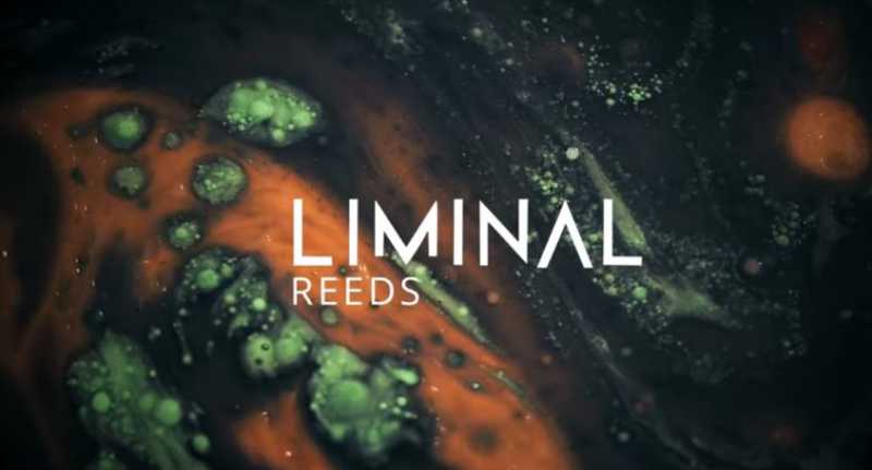 Crocus Soundware LIMINAL Bundle 管弦乐合集